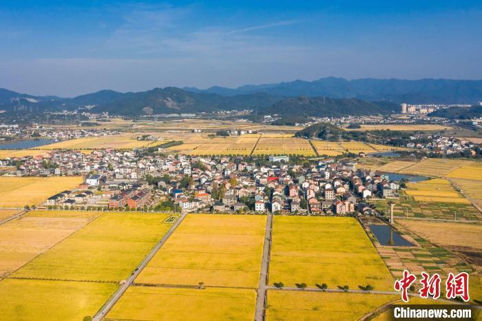 资料图:杜黄新村一景。黄俊皓 供图 资料图:杜黄新村一景。黄俊皓 供图