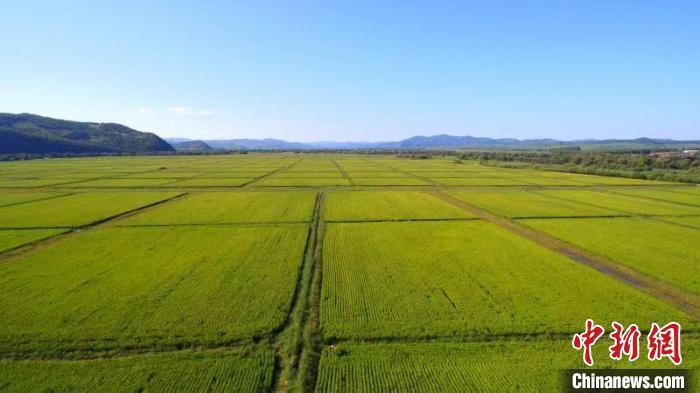资料图:呼伦贝尔耕地一景。田林鑫 摄 资料图:呼伦贝尔耕地一景。田林鑫 摄