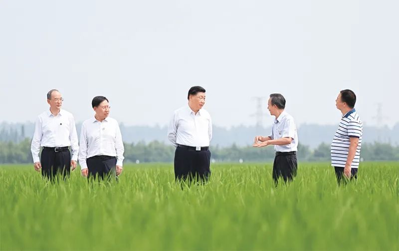 2022年6月8日,中共中央总书记、国家主席、中央军委主席习近平在四川考察。这是8日上午,习近平在眉山市东坡区太和镇永丰村高标准水稻种植基地考察,了解水稻试验育种和种植推广情况。新华社记者 谢环驰/摄 2022年6月8日,中共中央总书记、国家主席、中央军委主席习近平在四川考察。这是8日上午,习近平在眉山市东坡区太和镇永丰村高标准水稻种植基地考察,了解水稻试验育种和种植推广情况。新华社记者 谢环驰/摄